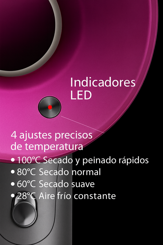Secadora de Pelo - Leafless